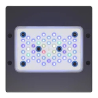 Ecotech G5 XR15 Blue Radion